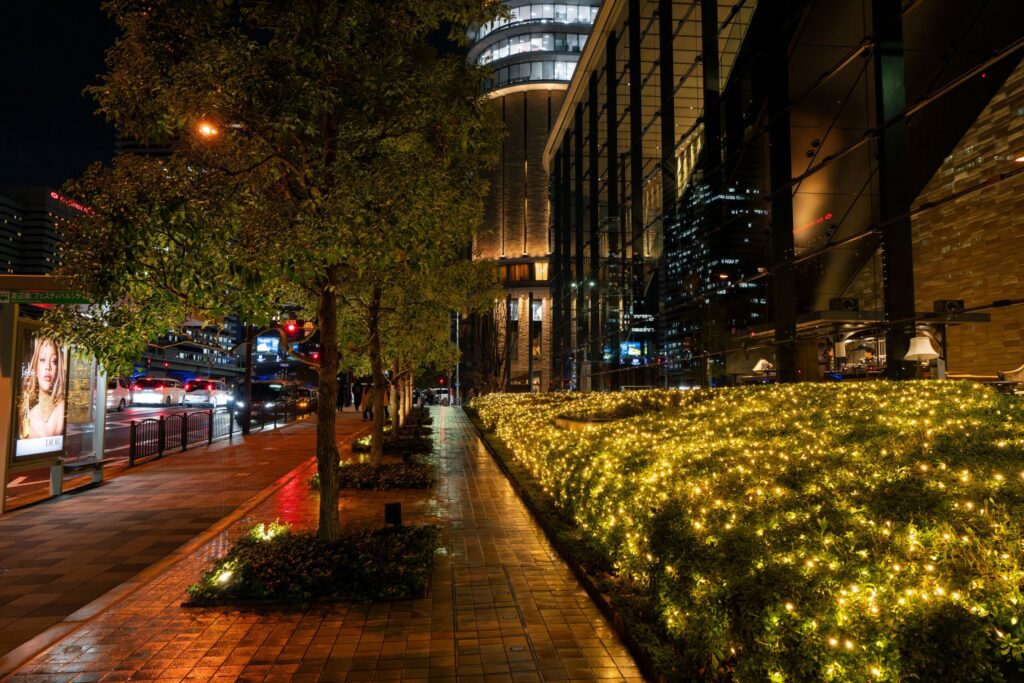 ライトアップ＆イルミネーションプログラム
提供：中之島ウエスト・エリアプロモーション連絡会